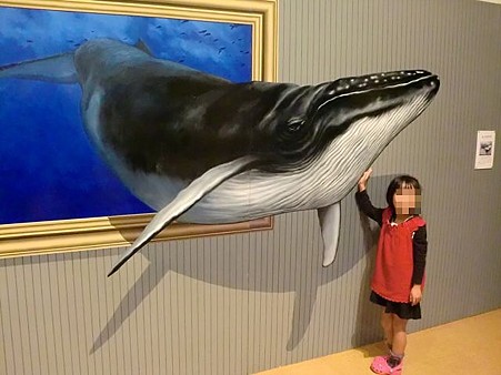 CIMG0232