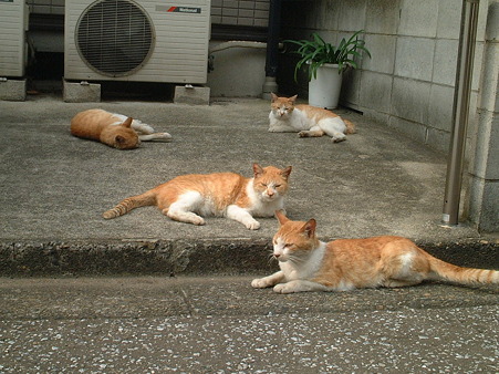 DSCF0310