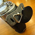 DSC01203.JPG