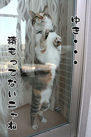 2010041701