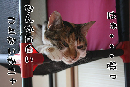 2010062701