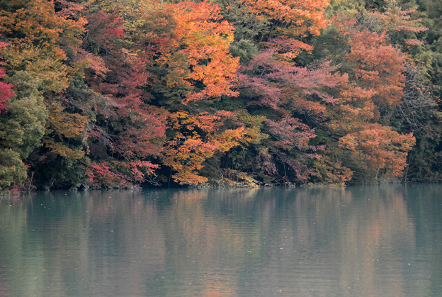 井川湖の紅葉 写真共有サイト フォト蔵