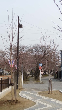 DSCN2491