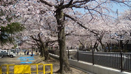 DSCN2713