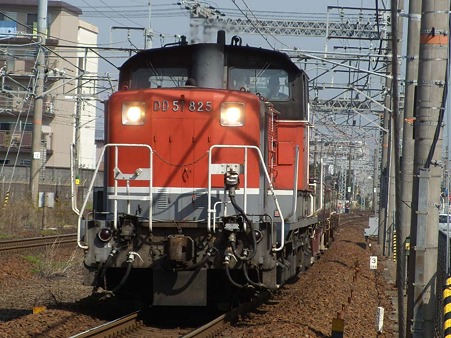 DSCN2916