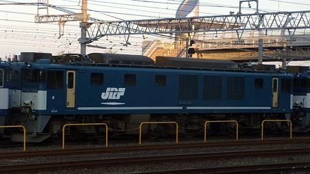 DSCN3004