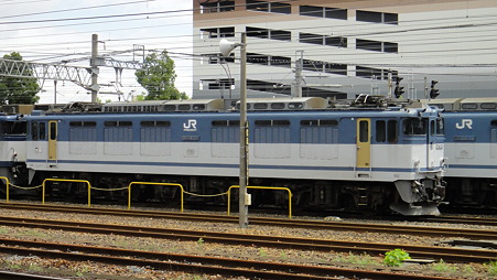 DSC00300