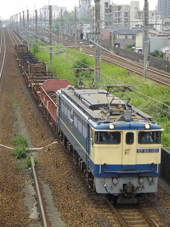 DSC01979