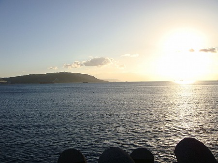 DSC06559