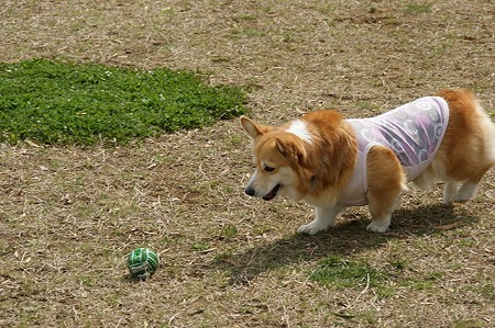 DSC07795