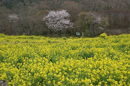 DSC08060
