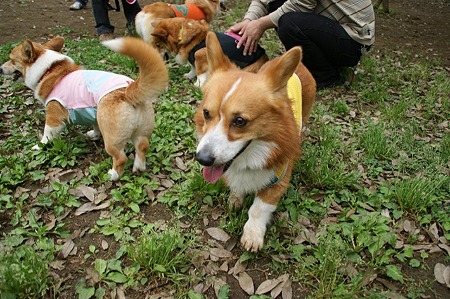 DSC09205