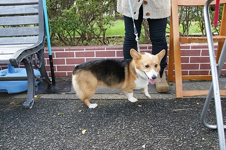DSC04427