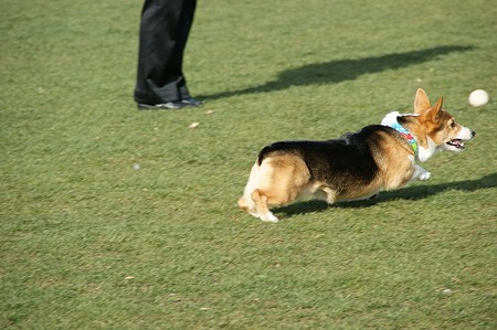 DSC06640