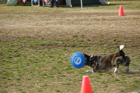 DSC08461