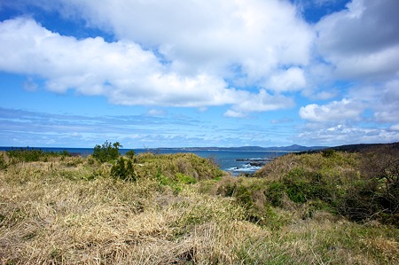 Sea04202011nex5