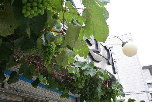 resize0069 写真: resize0069
