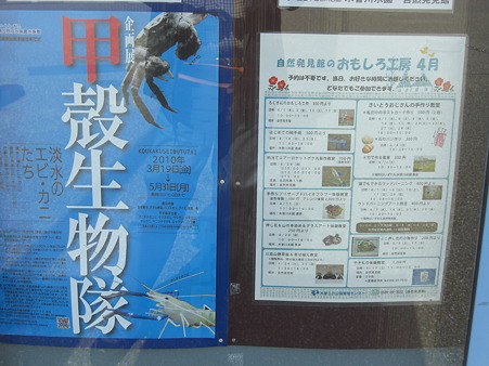 水族館　現在のイベントポスター