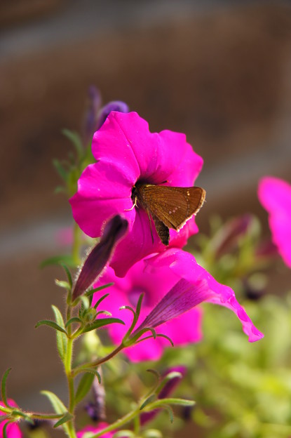 Photos: DSC00285
