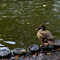 Photos: DSC00503