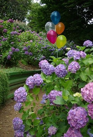 IMGP0498_0617