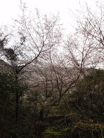 DSC00415