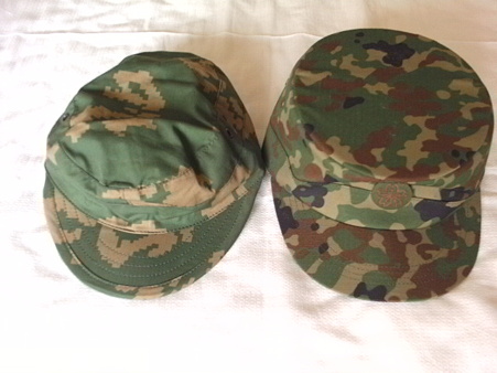 Berezka&JGSDF Cap
