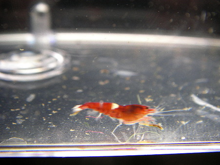 2010 08/09 006