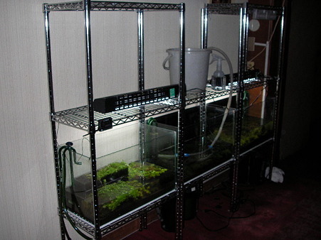 2011 3月 001