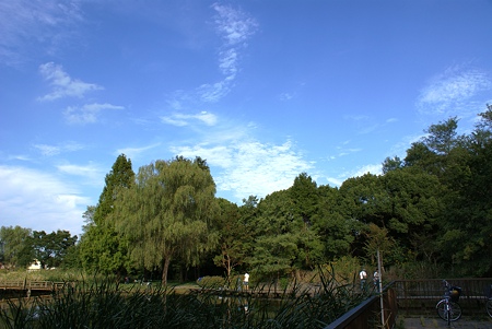水元公園＠水生植物園右側