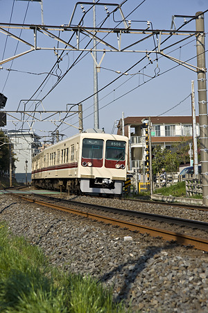 tokiwadai090411020