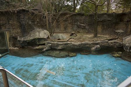 noichi110312545