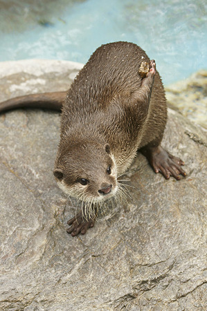 noichi110312080