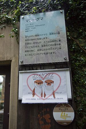 ueno110524010