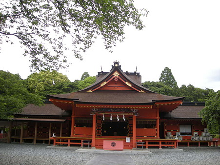 DSCN3071