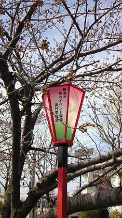 NEC_0461