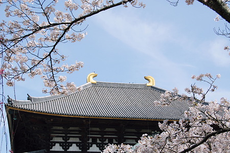 東大寺大仏殿2010年04月04日_DSC_1135