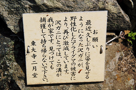 2010年04月04日_DSC_1253