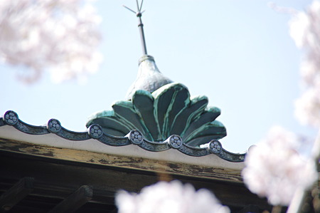 2010年04月04日_DSC_1280