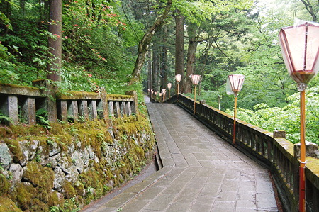 2010年05月23日_DSC_1819