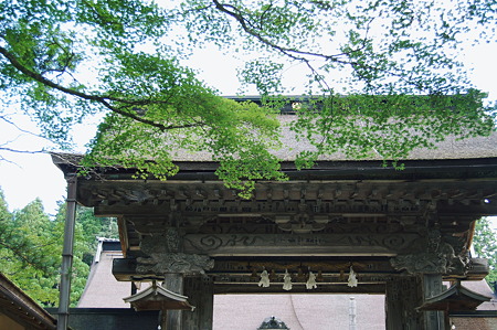2010年08月15日_DSC_0294