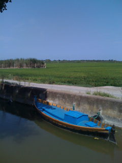 IMG_2301 IMG_2301