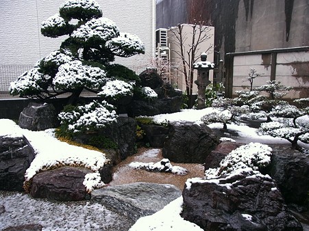 2011.3.7