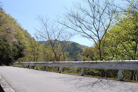 DSC_0438 DSC_0438