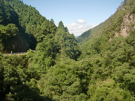 CIMG0301 CIMG0301