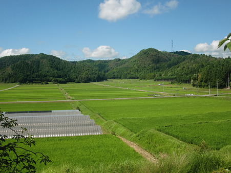 CIMG0305 CIMG0305