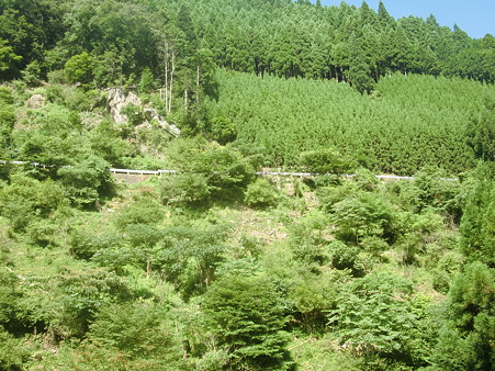 CIMG0309 CIMG0309