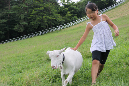 11 まきば公園