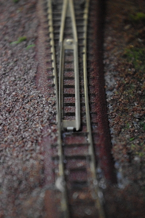 IMGP1254