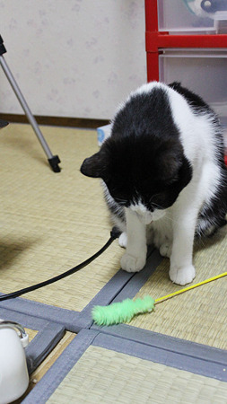 おとす